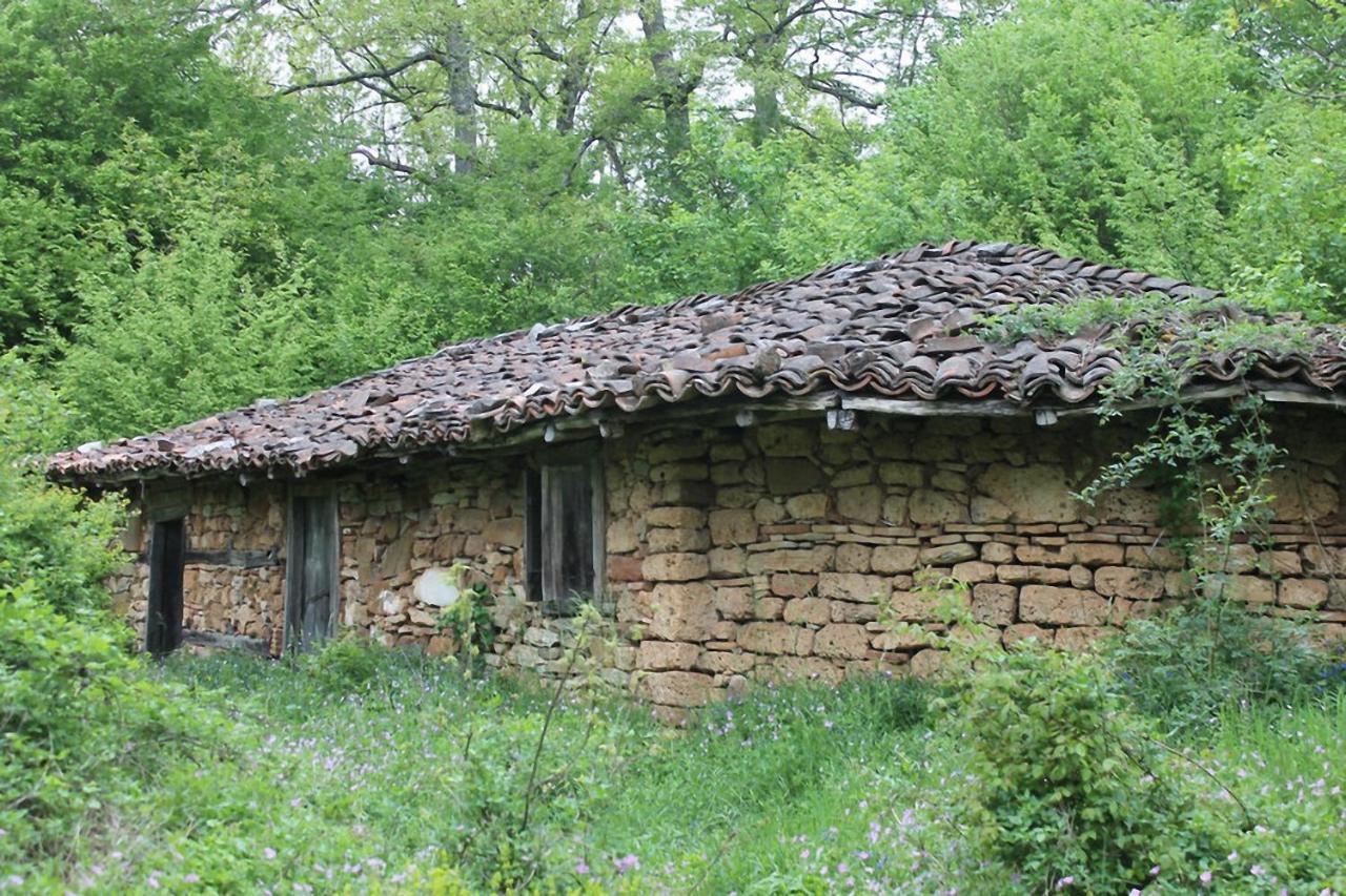 Hunting Residence Asteya Gramatikovo Buitenkant foto